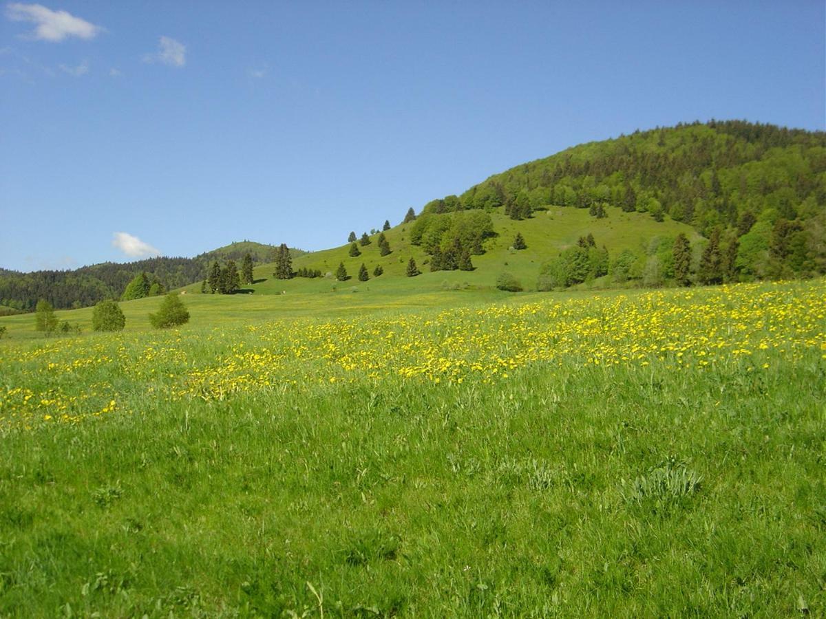 Ferienwohnungen Panoramablick Bernau im Schwarzwald Buitenkant foto